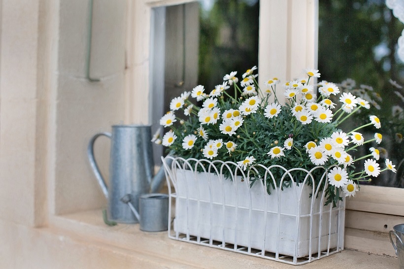 flower box planters outdoor spaces country homes